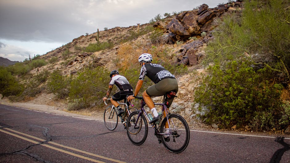 Two cyclists biking on a desert road surrounded by rocky terrain and greenery.