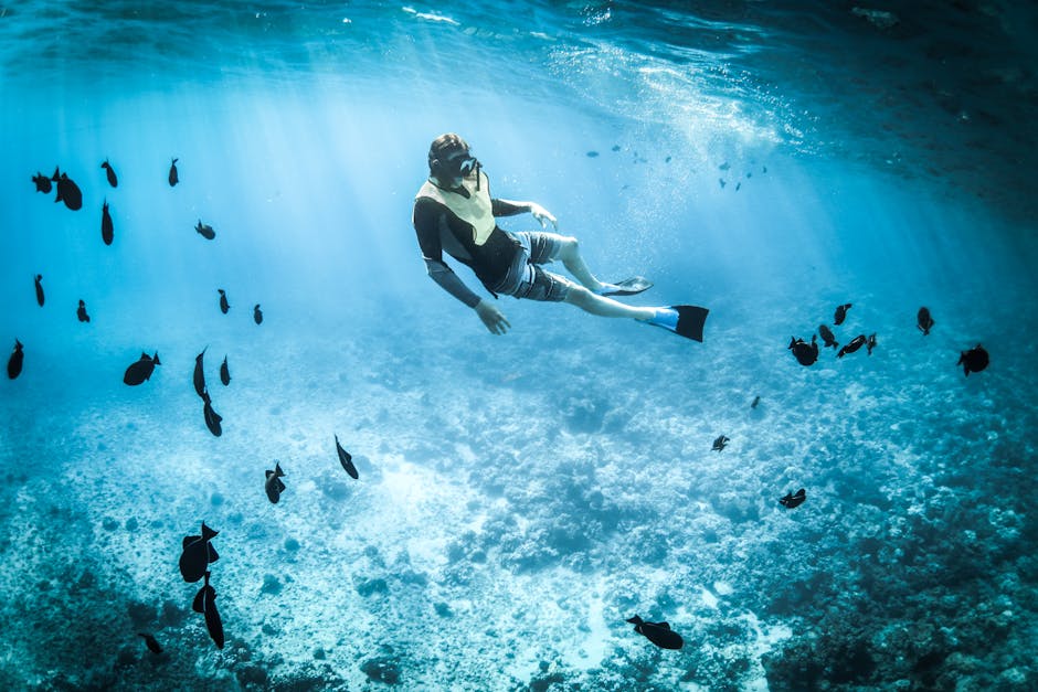 Person snorkeling among vibrant marine life in a tropical, turquoise sea.