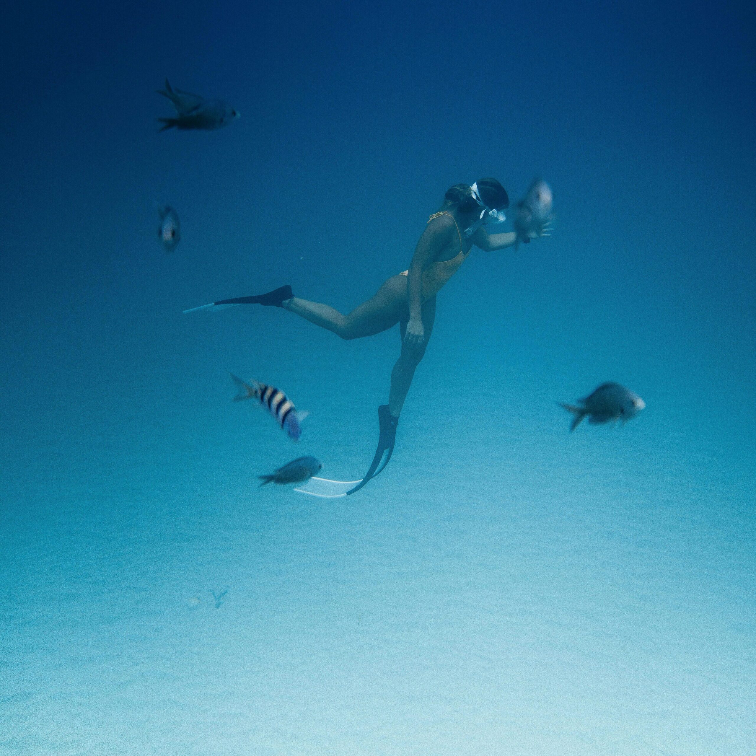 A female diver gracefully swims among vibrant marine life, exploring underwater beauty.