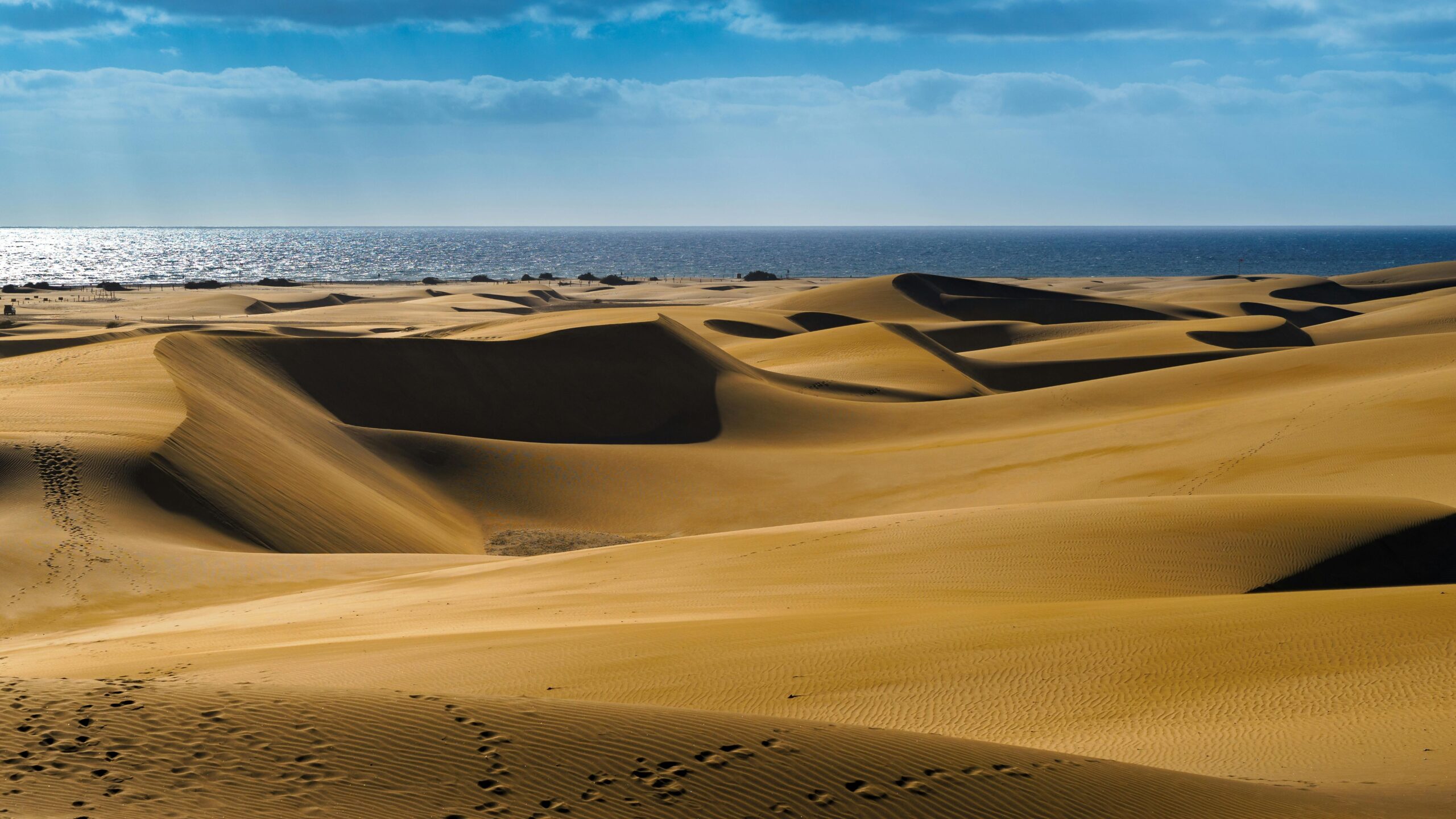 Maspalomas Sand Dunes